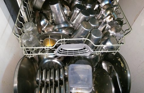 Dishwasher for Indian Home
